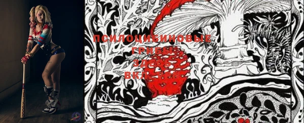 метадон Медвежьегорск