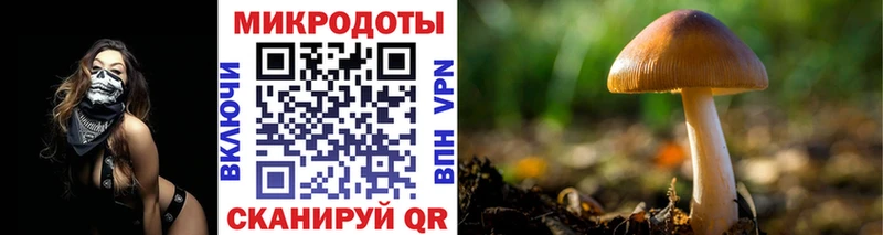 мориарти формула  Оханск  Псилоцибиновые грибы мицелий 